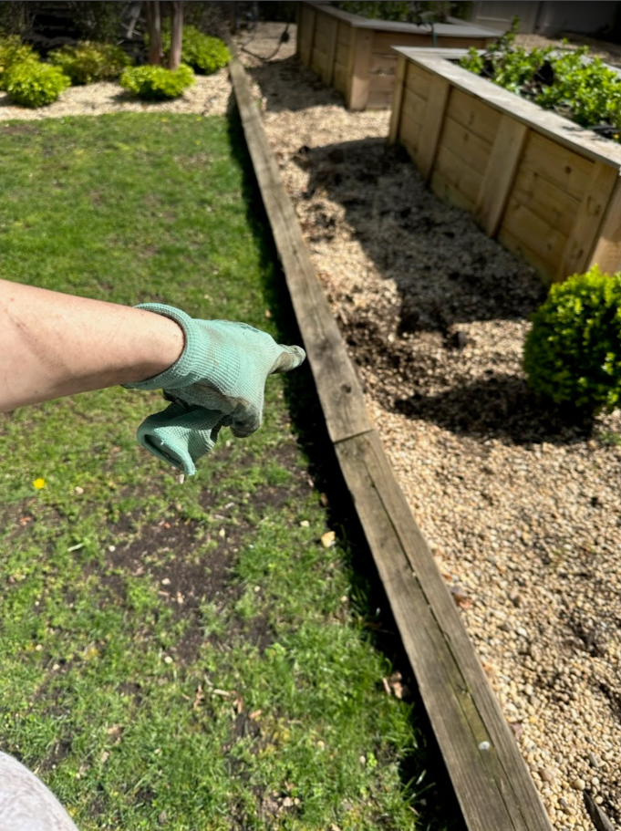 railroad ties removal