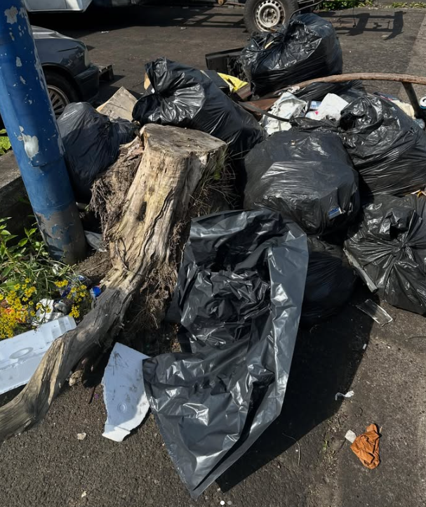 hton tree stump junk