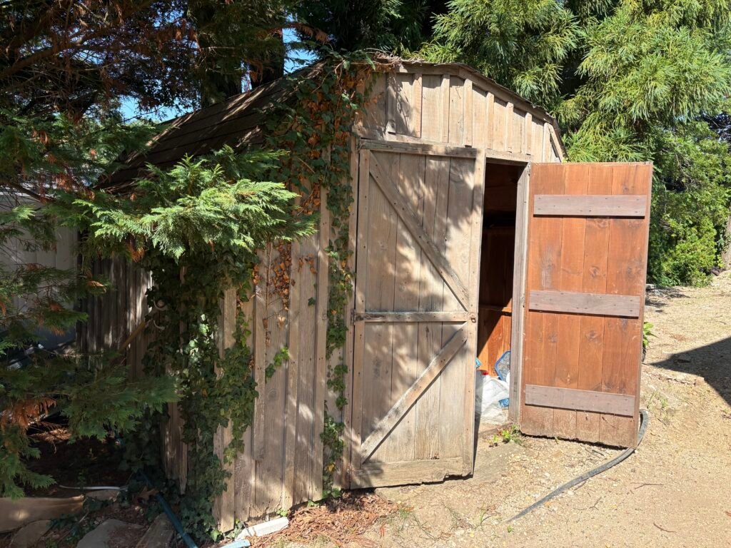 before shed plainview