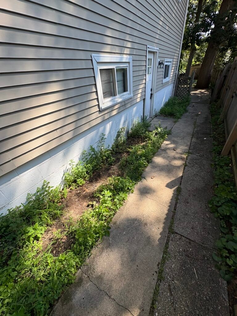 Property Cleanup in Huntington Station, NY – Trash and Yard Debris Removal (August 5) 30pear sideyard after