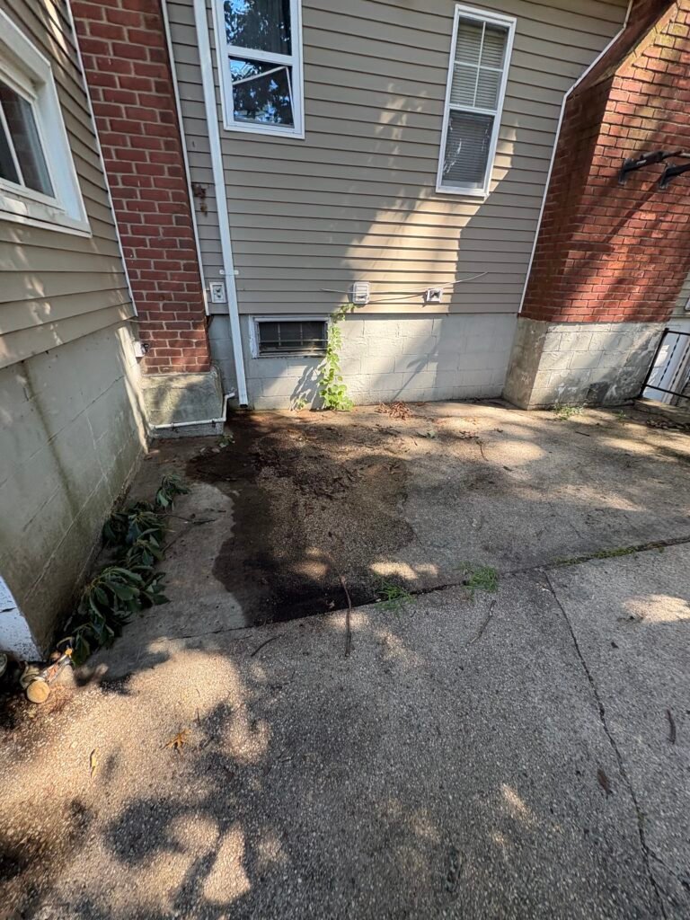Property Cleanup in Huntington Station, NY – Trash and Yard Debris Removal (August 5) 30pear trash after