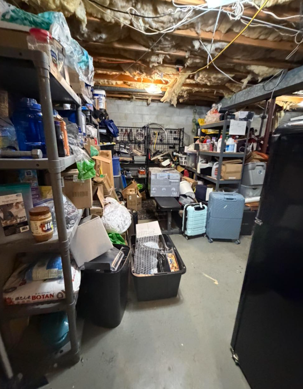Basement Cleanout basement cleanout huntington