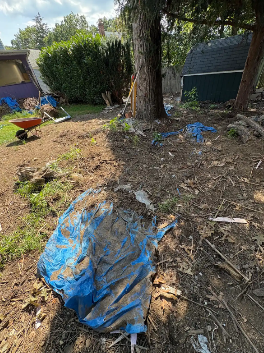 Yard Debris, Brush & Log Removal in East Northport, NY – Junk Removal (September 4) 255brush pile 1 after