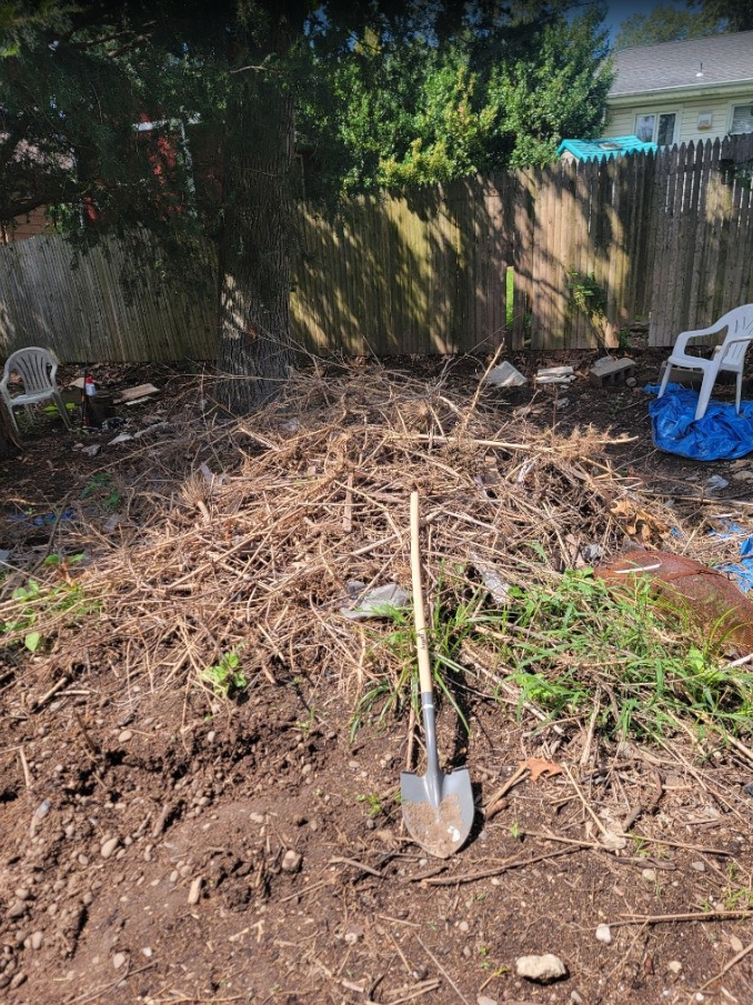 Yard Debris, Brush & Log Removal in East Northport, NY – Junk Removal (September 4) 255brush pile 1 before