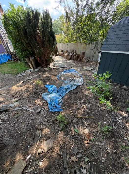 Yard Debris, Brush & Log Removal in East Northport, NY – Junk Removal (September 4) 255brush pile 2 after