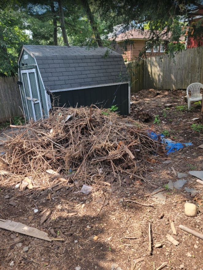Yard Debris, Brush & Log Removal in East Northport, NY – Junk Removal (September 4) 255brush pile 2 before