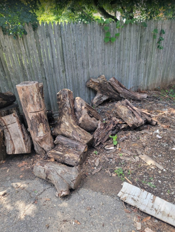 Yard Debris, Brush & Log Removal in East Northport, NY – Junk Removal (September 4) 255log pile before